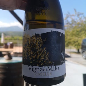 VignadiMilo - I Vigneri - Salvo Foti 