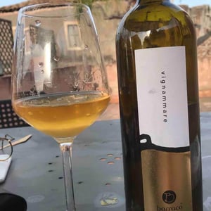 Vignammare - Vini Barraco - Antonino Barraco 