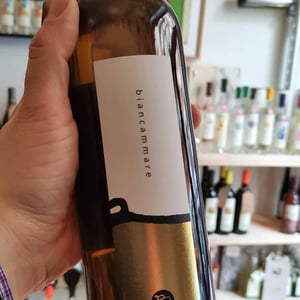 Vignammare - Vini Barraco - Antonino Barraco 