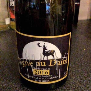 Vigne Au Daim - Allante & Boulanger - Mathieu Allante & Christian Boulanger 