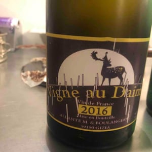 Vigne Au Daim - Allante & Boulanger - mathieu-allante-christian-boulanger