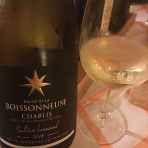 Vigne De La BOISSONNEUSE - Julien Brocard - julien-brocard