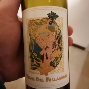 Vigne Del Pellagroso Bianco - Vigne Del Pellagroso - Antonio Camazzola 