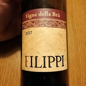 Vigne Delle Bra - Visco & Filippi Azienda Agricola - Filippo Filippi 