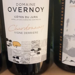Vigne Derrière - Domaine Overnoy - Guillaume Overnoy 