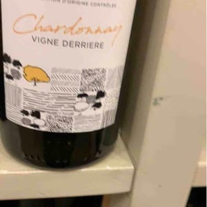 Vigne Derrière - Domaine Overnoy - guillaume-overnoy