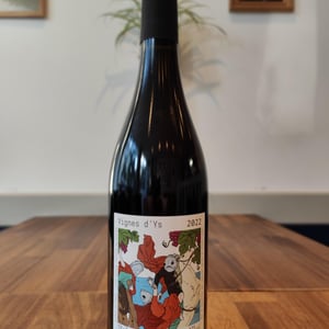 La Vigne D’Ys - Bariou & Bodet - jennifer-bariou-thibaut-bodet