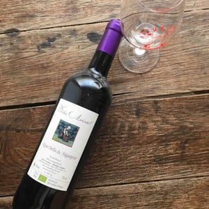 Vigne Vieille Du Falgueyras - Domaine Ferme Bois Moisset - sylvie-philippe-maffre