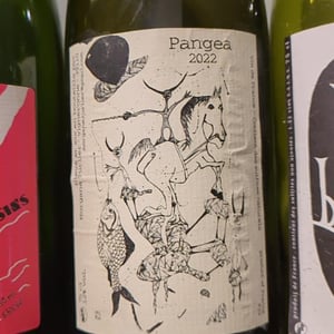 Vignes aux Loups - Morgane Turlier - morgane-turlier