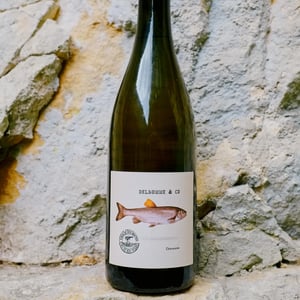 Vignes de la Justice - Delhomme & co - baptiste-delhomme -2022