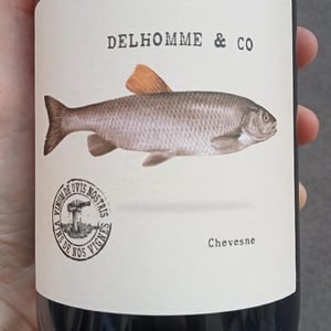 Vignes de la Justice - Delhomme & co - Baptiste Delhomme -2022