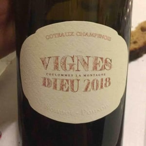 Vignes Dieu - Champagne Bonnet-Ponson - Cyril Bonnet 