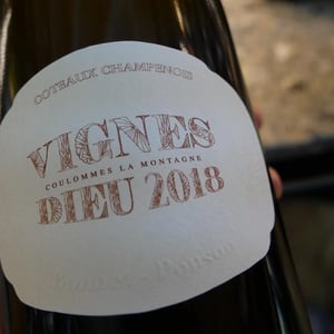 Vignes Dieu - Champagne Bonnet-Ponson - Cyril Bonnet 