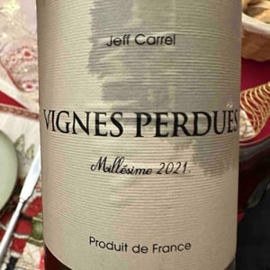 Vignes perdues - Jeff Carrel - Jeff Carrel -2021
