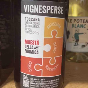 Vignesperse - Maestà della formica agricola SS - andrea-elmi-gian-luca-guidi-marco-raffaelli -2022