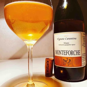 Vigneto Carantina - Azienda Agricola Monteforche - Alfonso Soranzo -2019
