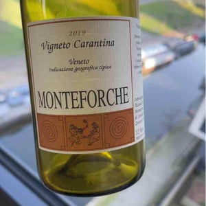 Vigneto Carantina - Azienda Agricola Monteforche - Alfonso Soranzo -2019