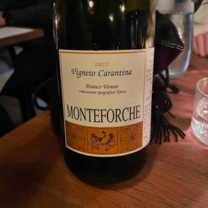 Vigneto Carantina - Azienda Agricola Monteforche - Alfonso Soranzo -2019