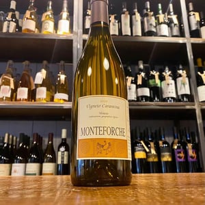 Vigneto Carantina - Azienda Agricola Monteforche - alfonso-soranzo -2019