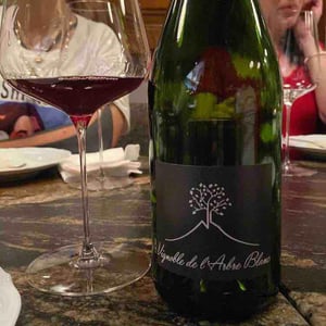 Les Grandes Orgues - Domaine de l'Arbre Blanc - Frédéric Gounan 