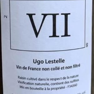 VII - Ugo Lestelle - ugo-lestelle