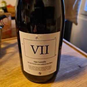 VII - Ugo Lestelle - Ugo Lestelle 