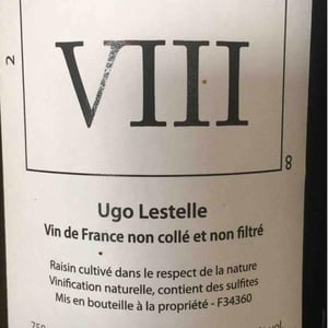VIII - Ugo Lestelle - ugo-lestelle