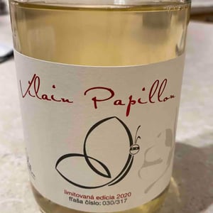 Vilain Papillon - Vino Od Francuza - David Papillon & Darina Géciová 