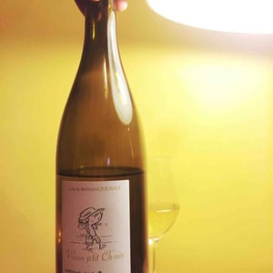 Vilain P'tit Ch’nin - Domaine Jousset - lise-bertrand-jousset