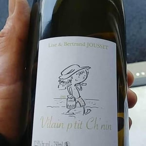 Domaine Jousset - Lise & Bertrand Jousset - Vilain P'tit Ch’nin