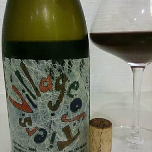 Lucy Margaux Vineyards - Anton Van Klopper - Village of Tiers