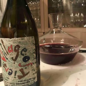 Lucy Margaux Vineyards - Anton Van Klopper - Village of Tiers