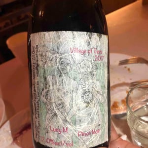 Lucy Margaux Vineyards - Anton Van Klopper - Village of Tiers