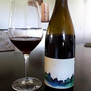 Village Pinot Noir - Gentle Folk Wines - Gareth & Rainbo Belton 