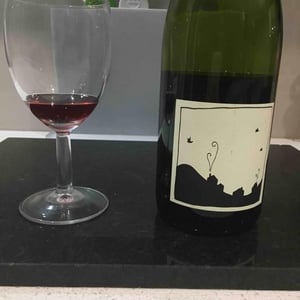 Village Pinot Noir - Gentle Folk Wines - Gareth & Rainbo Belton 