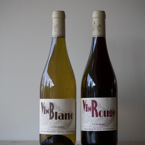 Vin Blanc - Clos du Tue-Bœuf - zoe-louise-thierry-puzelat