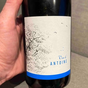 Le Vin d’Antoine - Domaine Saint Nicolas - mickael-antoine-thierry-michon