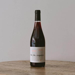 Vin de copains - Domaine Wilfried - rejane-et-wilfried-pouzoulas -2019
