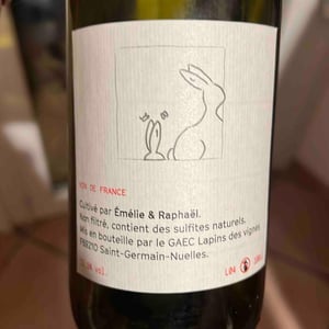 Enculés Lapins - Lapins Des Vignes - Raphaël Beysang & Emélie Hurtubise -2021