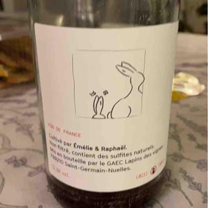 Enculés Lapins - Lapins Des Vignes - raphael-beysang-emelie-hurtubise -2021
