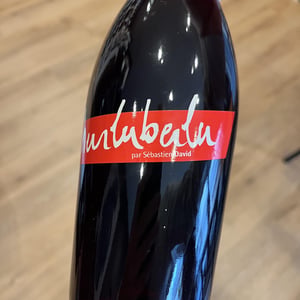Vin de France "Hurluberlu" - Domaine Sébastien David - Sébastien David -2022
