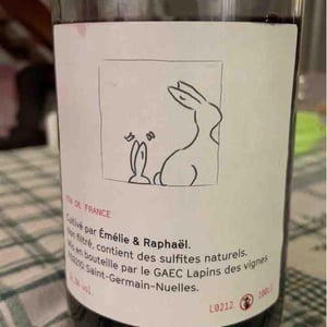 Enculés Lapins - Lapins Des Vignes - Raphaël Beysang & Emélie Hurtubise -2021