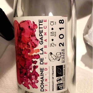 Vin De France (Rosé) - Domaine de la Gapette - Victor Blondin 