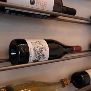Vin De France Gamay - Sarnin-Berrux - jean-pascal-sarnin-jean-marie-berrux -2017