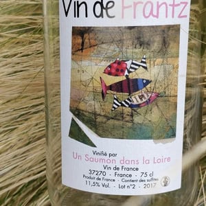 Un Saumon Dans la Loire - Marie Thibault & Frantz Saumon - Vin de Frantz Rosé