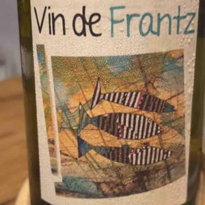 Un Saumon Dans la Loire - Marie Thibault & Frantz Saumon - Vin de Frantz
