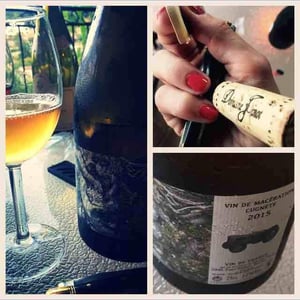 Vin de Macération Cugnette - Domaine Finot - thomas-finot