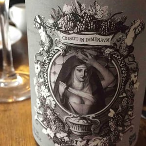 Vin De Mess - Sons of Wine - Farid Yahimi 