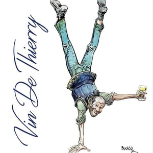 Vin de Thierry - Domaine Saint Nicolas - mickael-antoine-thierry-michon