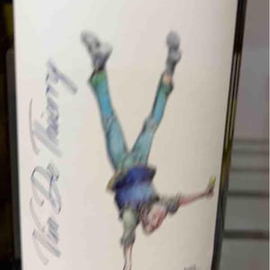Vin de Thierry - Domaine Saint Nicolas - mickael-antoine-thierry-michon